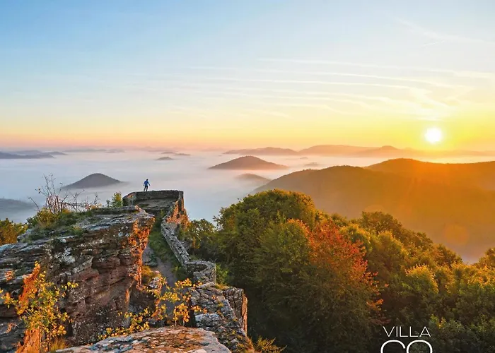 Muenchweiler 别墅 *